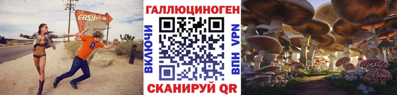 Купить где  Нарткала  Псилоцибиновые грибы Psilocybe 